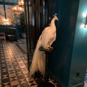 Meet your Posher, Alexandra